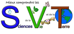 Formation à distance